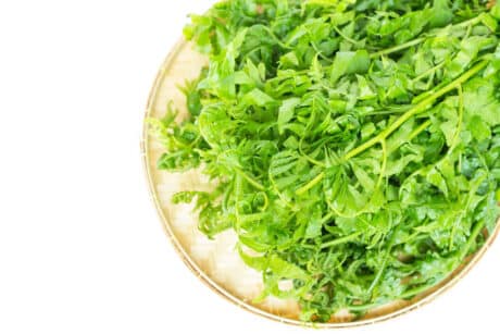 450-500 grams of asparagus