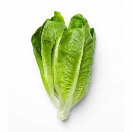 Green Cos lettuce 450-500 grams