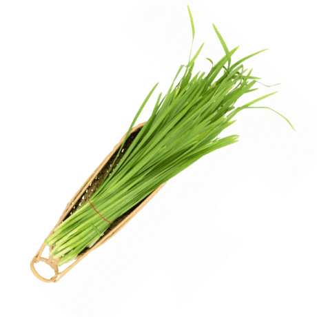 Chives 450-500 grams