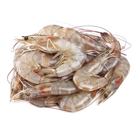 กุ้งขาว ไซซ์ 23-25 ตัวโล