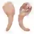 Pork tail 450 - 500 grams