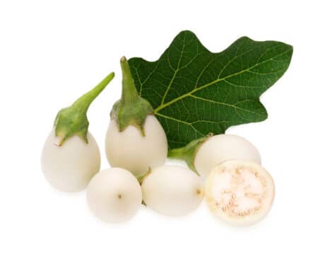 White turtle eggplant 450-500 grams