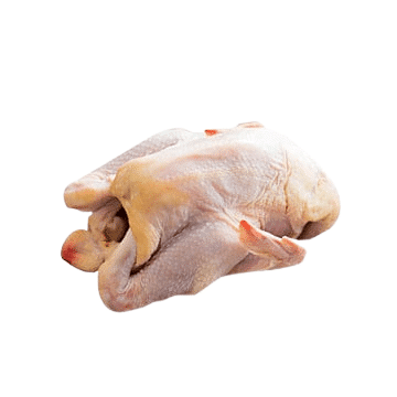 ไก่บ้าน (ตัว) 1300-1500 กรัม