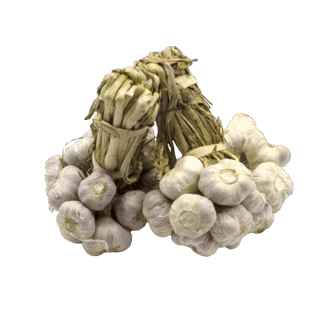 Thai garlic, bunched, 400-500 grams