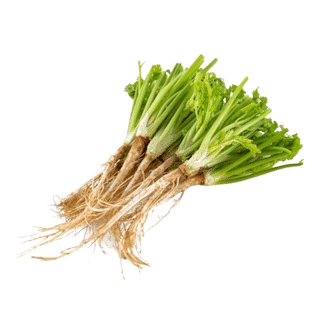 100 grams of coriander root