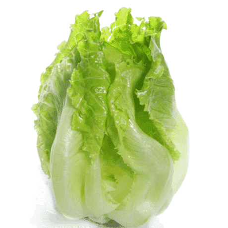 450-500 grams of imported lettuce