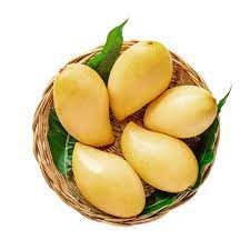 Ripe Nam Dok Mai mangoes, 450-500 grams