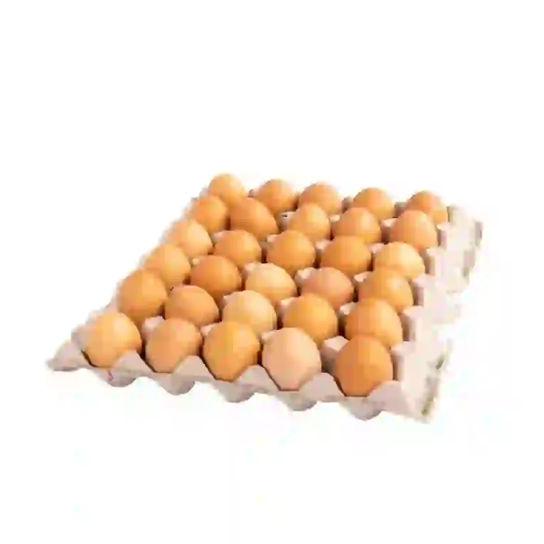 Chicken_Eggs_Size_4_30_Eggs_per_Tray